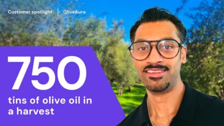 The search for quality olive oil turned into OliveAura