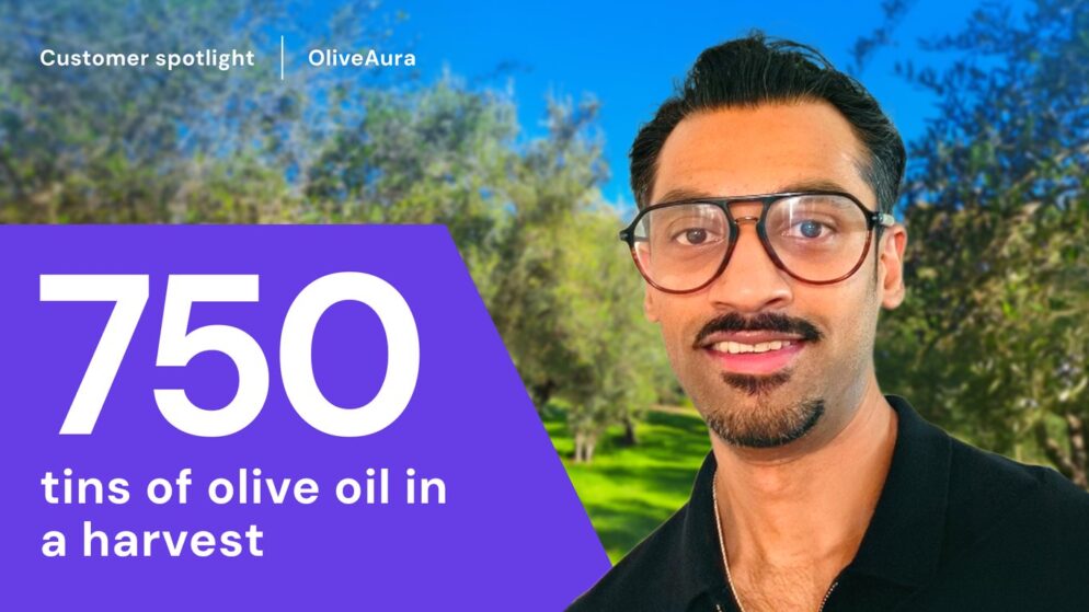The search for quality olive oil turned into OliveAura